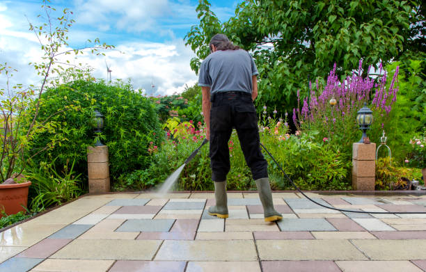 Best Winterizing Services  in Edcouch, TX